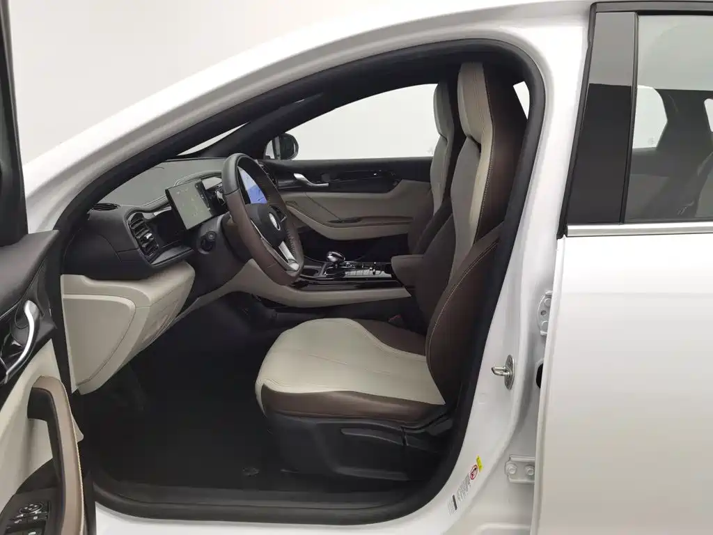 BYD Qin PLUS 2023 — фото 10