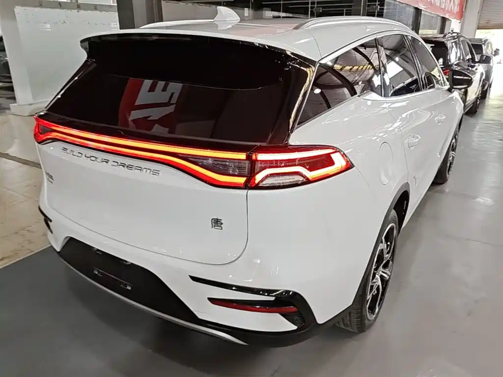 BYD Tang New Energy 2023 — фото 7