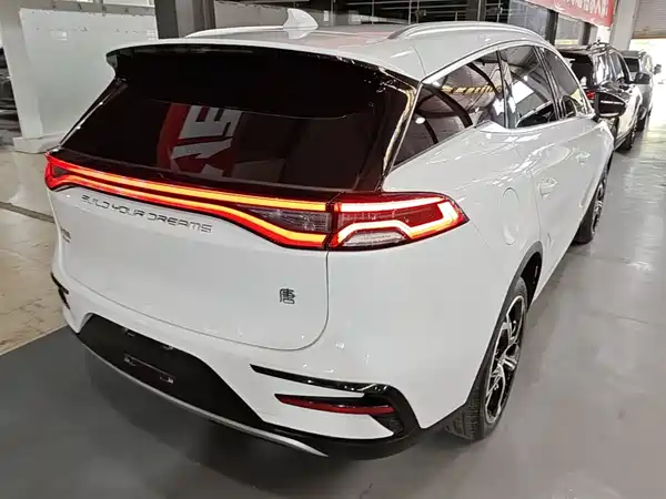 BYD Tang New Energy 2021