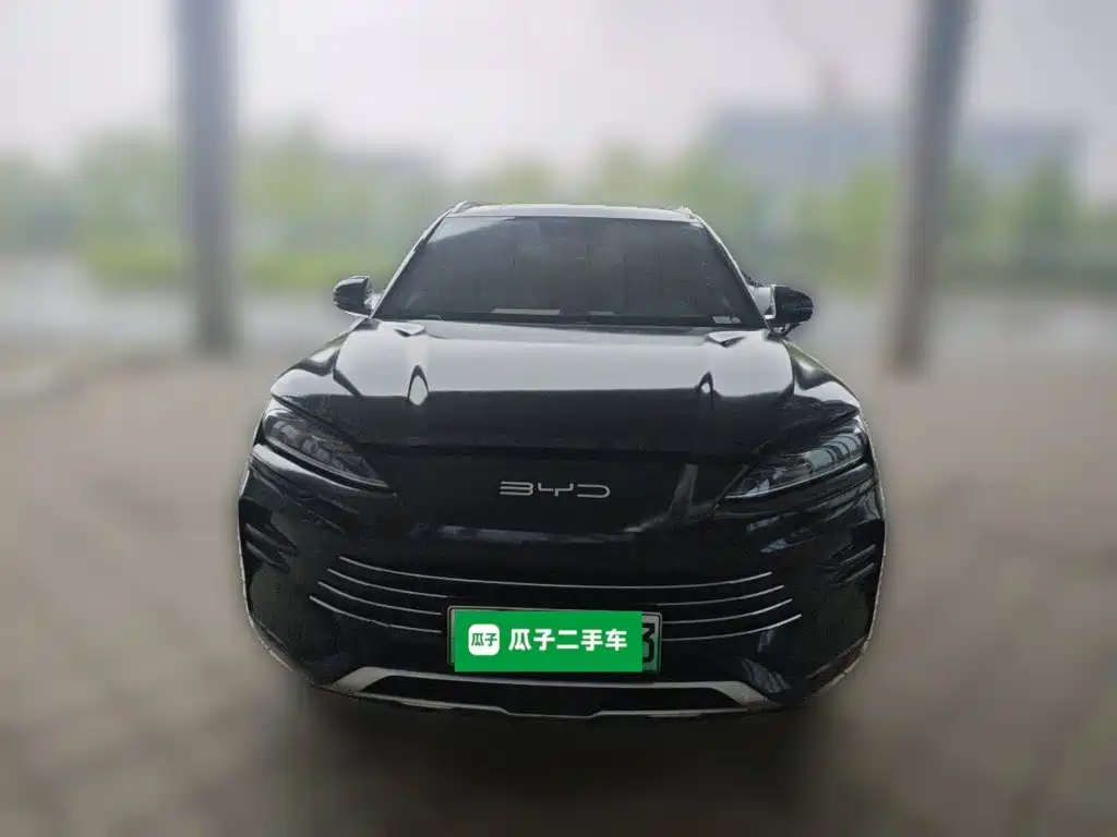 BYD Song PLUS New Energy 2024 — фото 2