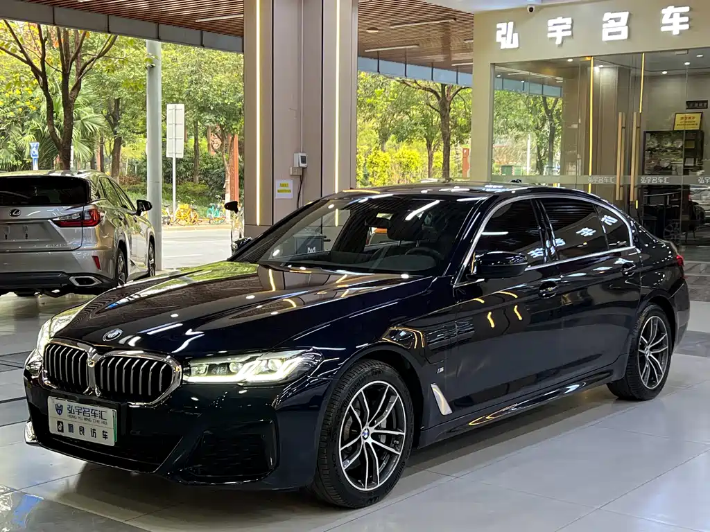 BMW 5 Series New Energy 2021 — фото 1