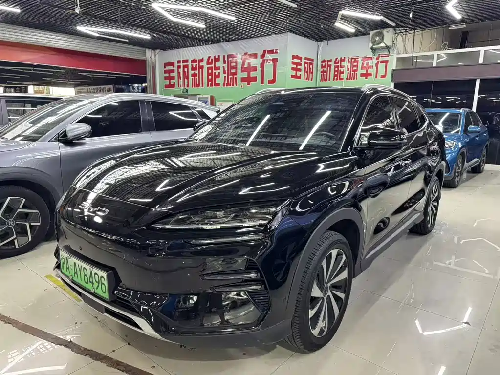 BYD PLUS New Energy 2024 — фото 1