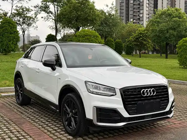 Audi Q2L 2019