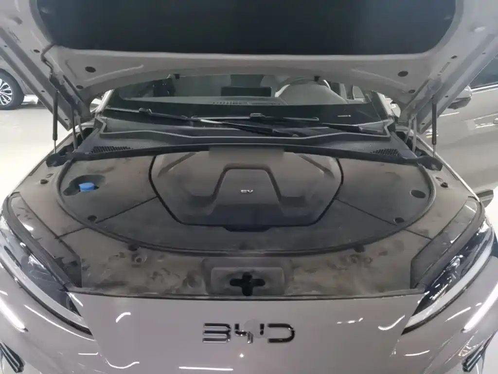 BYD Song PLUS New Energy 2024 — фото 20