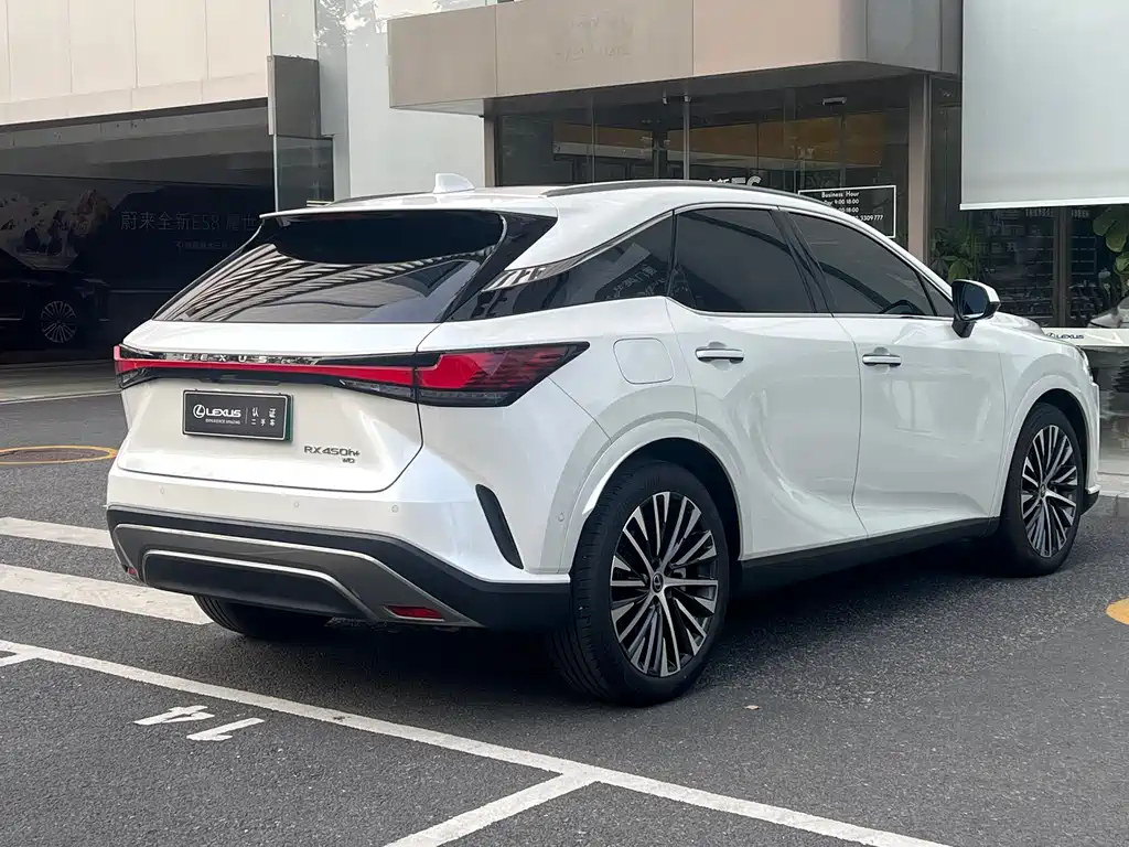 Lexus RX New Energy 2023 — фото 15