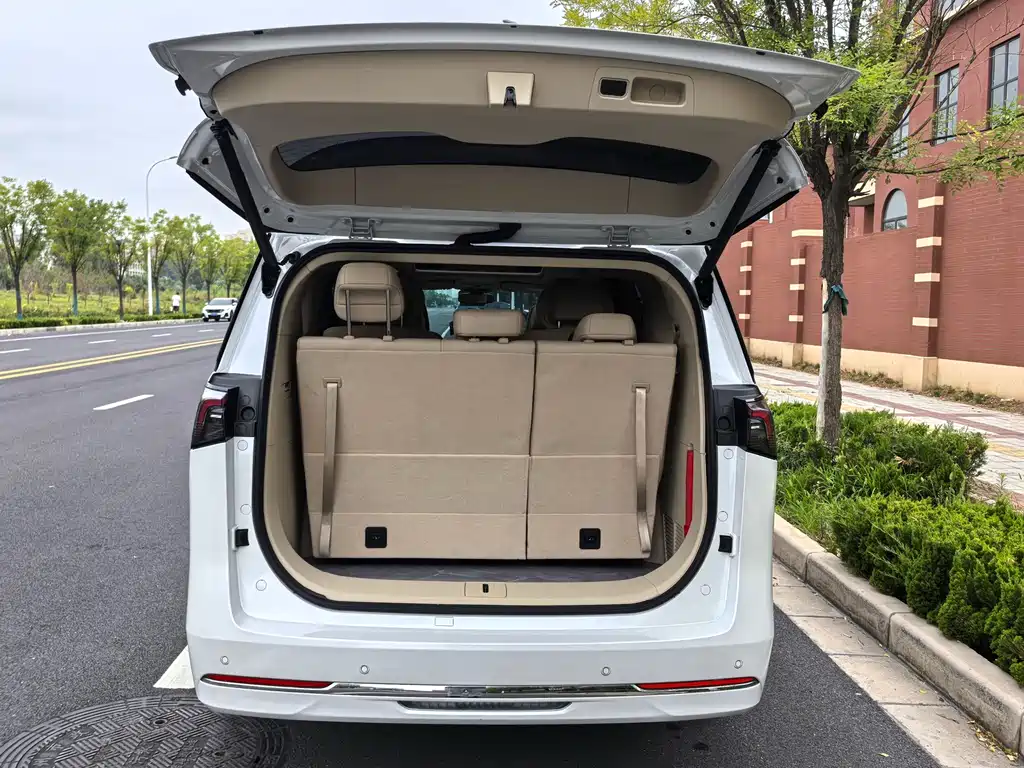 Buick GL8 Hybrid 2025 — фото 13