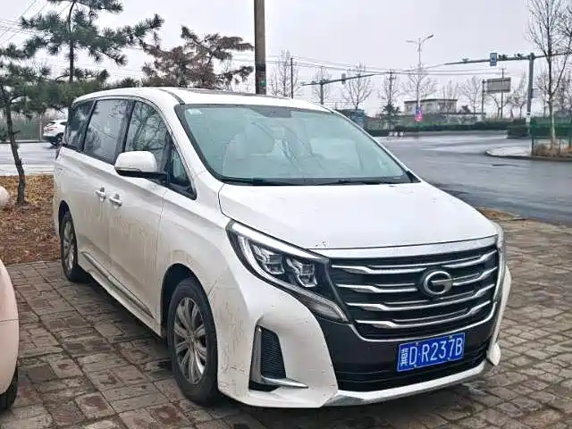 GAC Motor Trumpchi M8 2020 — фото 3