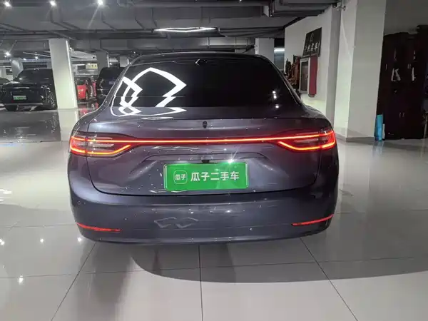 Stelato S9 2025