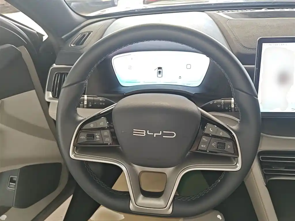 BYD PLUS New Energy 2024 — фото 11