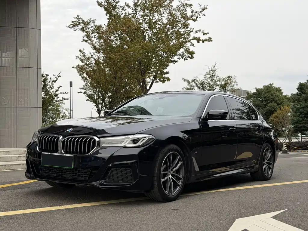 BMW 5 Series New Energy 2021