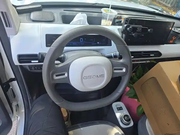 Geely Galaxy Panda 2024
