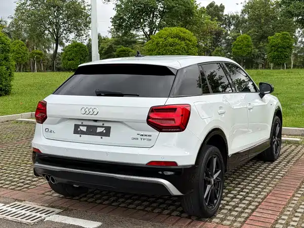 Audi Q2L 2019