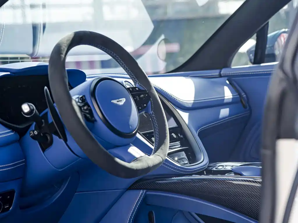Aston Martin DBX 2021 — фото 11