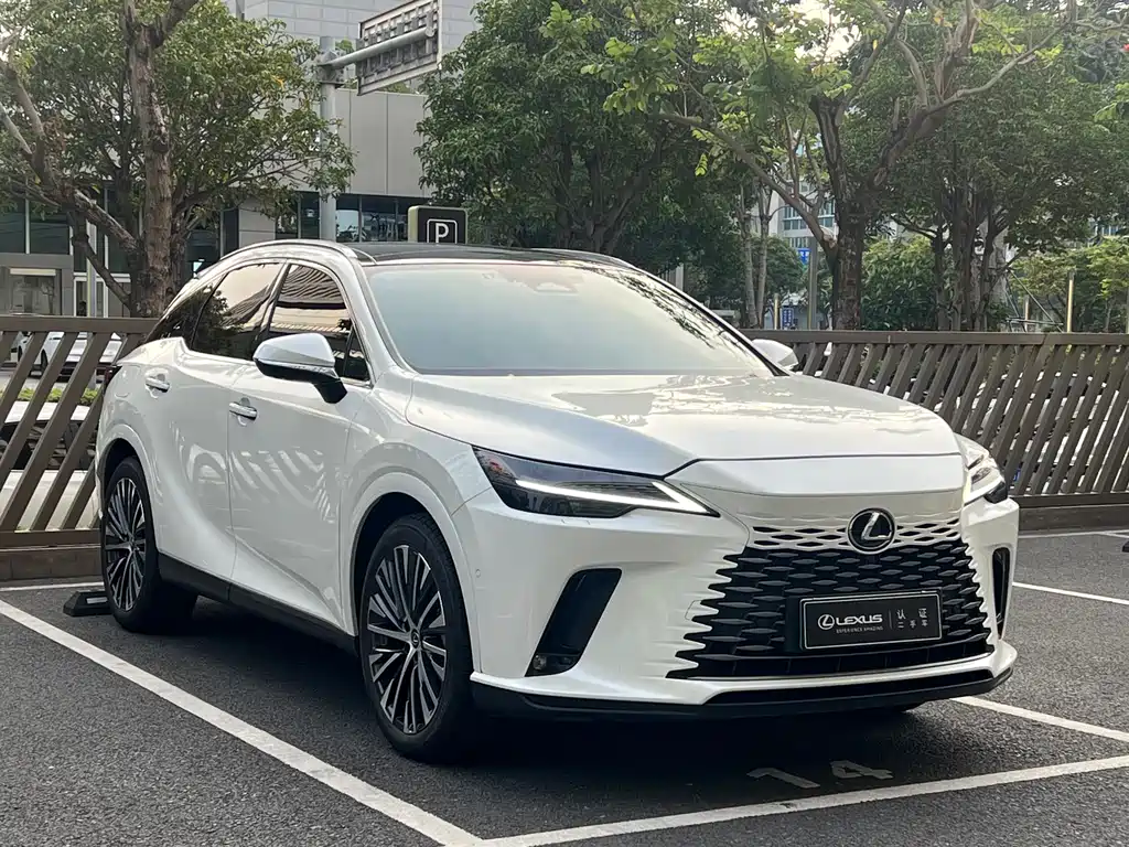 Lexus RX New Energy 2023 — фото 3