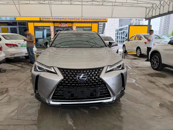 Lexus UX New Energy 2021