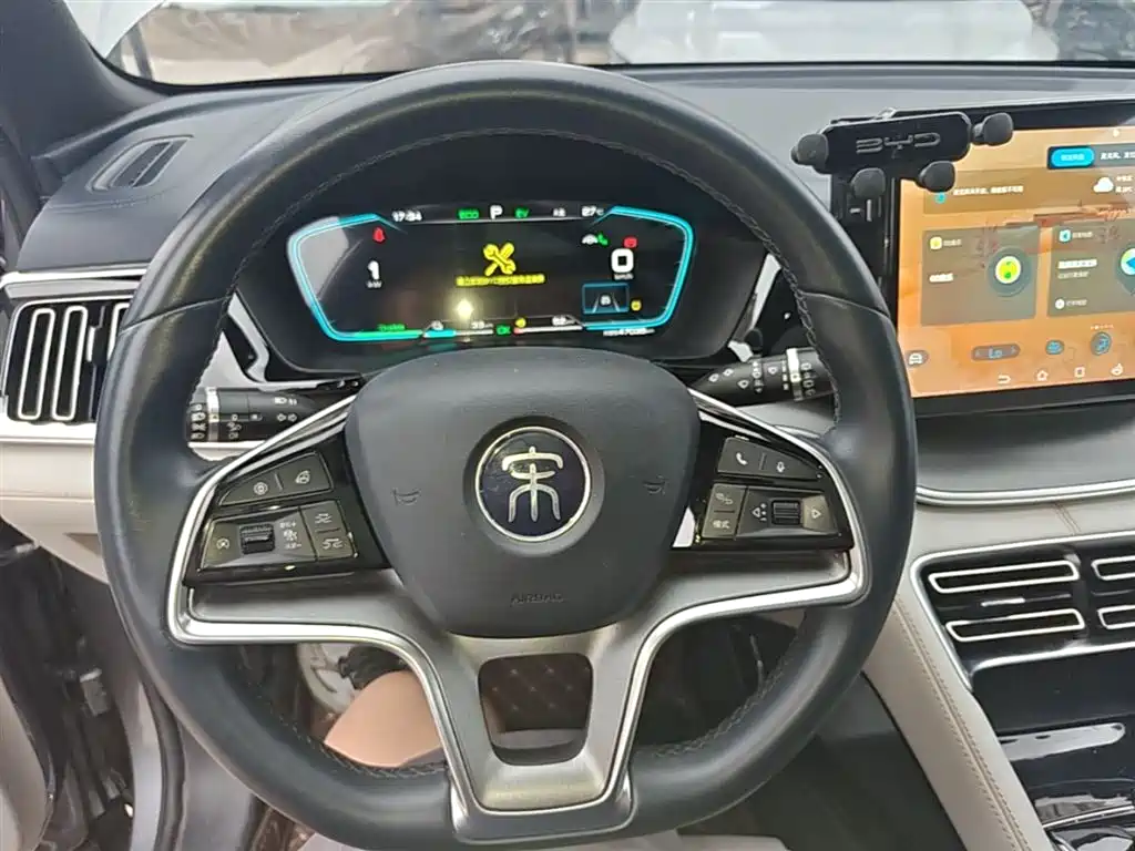 BYD PLUS New Energy 2022 — фото 11