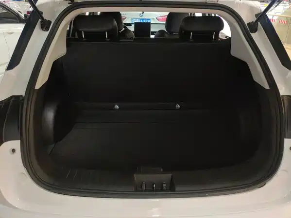 Neta V 2022