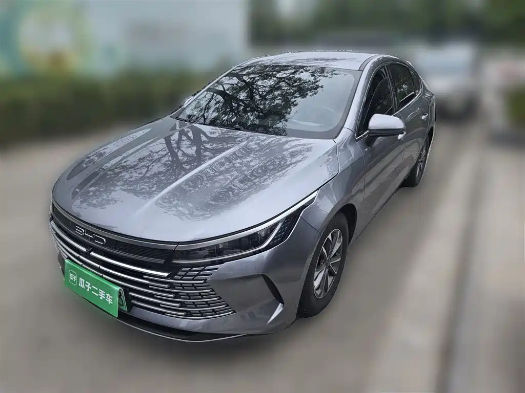 BYD Destroyer 05 2024 — фото 2