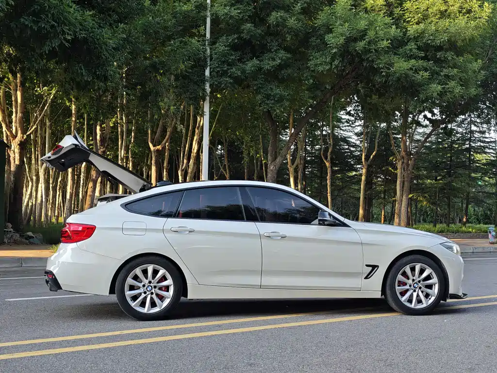 BMW 3 Series GT 2019 — фото 6