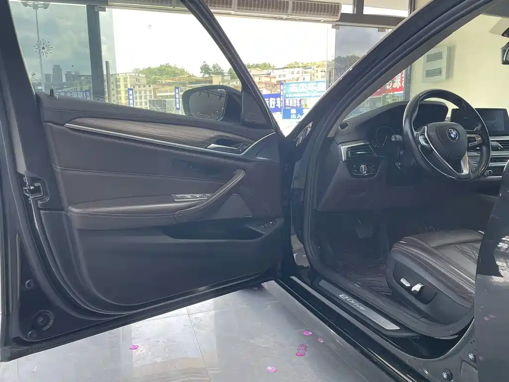 BMW 5 Series New Energy 2019