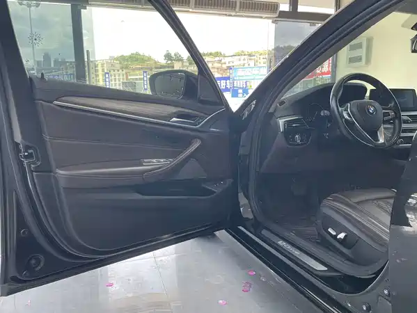 BMW 5 Series New Energy 2019