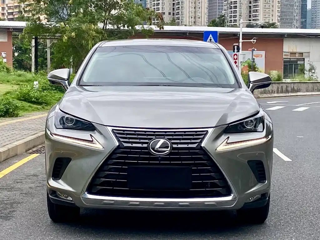 Lexus NX 2020 — фото 2