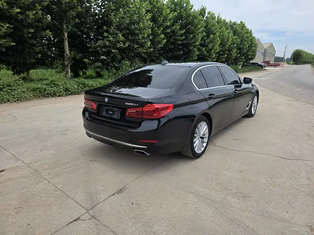 BMW 5 Series 2019