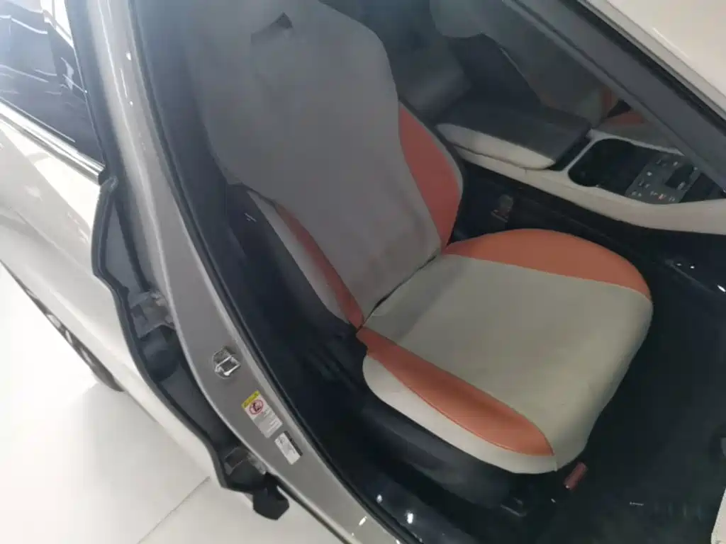 BYD Song PLUS New Energy 2024 — фото 25