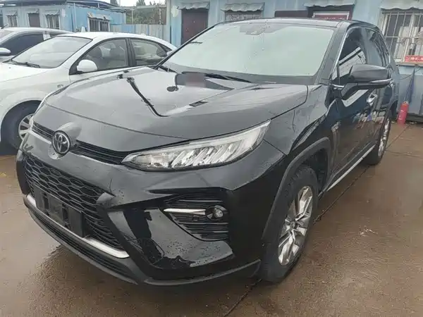 Toyota Wildlander 2020