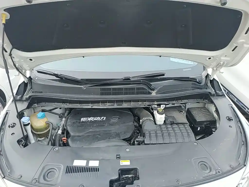 GAC Trumpchi M8 2021 — фото 16