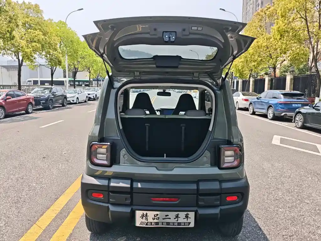 Geely Galaxy Panda 2024 — фото 6