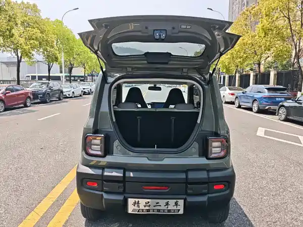Geely Galaxy Panda 2024