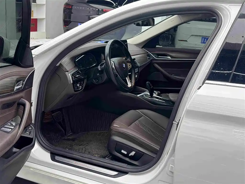 BMW 5 Series New Energy 2021
