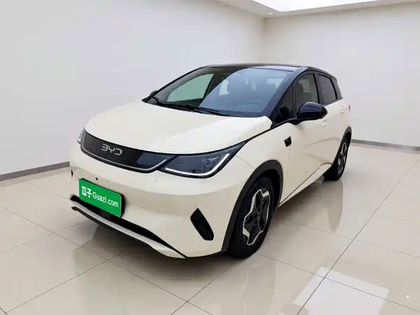 BYD Dolphin 2025
