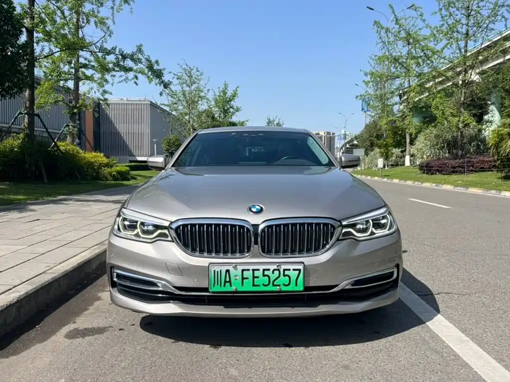 BMW 5 Series New Energy 2020