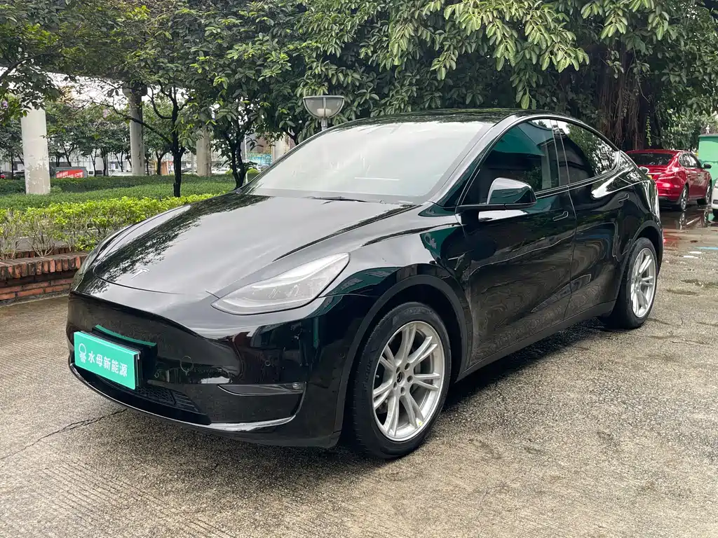 Tesla Model Y 2021 — фото 1