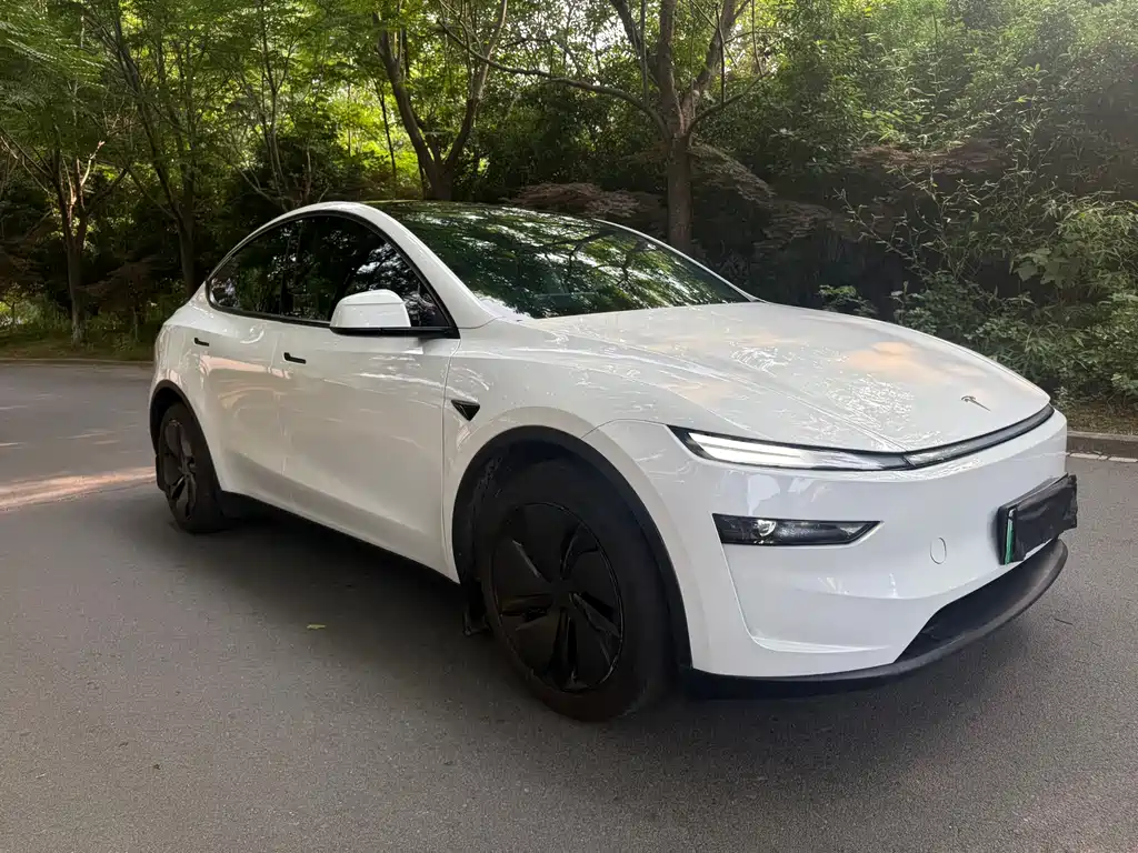 Tesla Model Y 2025 — фото 2