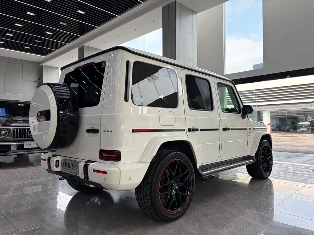 Mercedes-Benz G-Class 2020 — фото 14