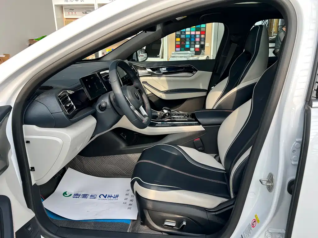 BYD Qin PLUS 2023 — фото 22