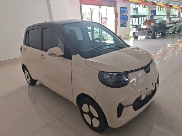 Xiaohu EV 2024