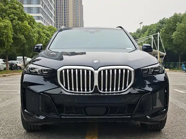 BMW X5 2024