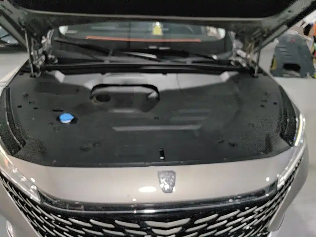 Roewe RX5 New Energy 2023 — фото 20