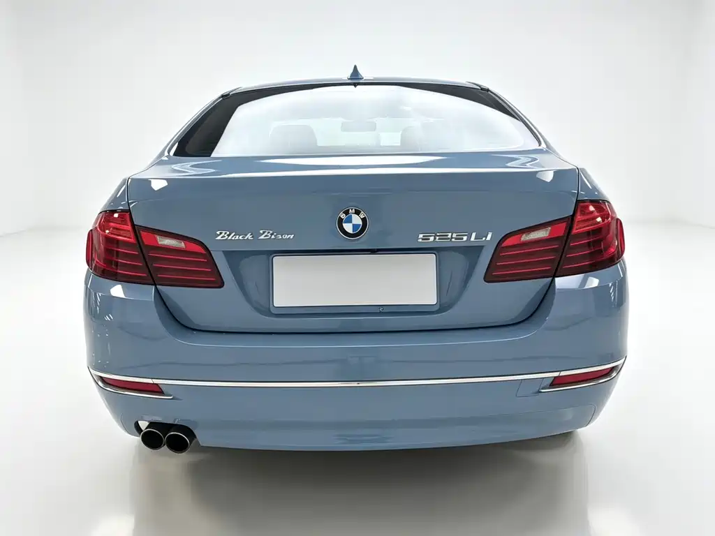 BMW 5 Series 2015 — фото 8