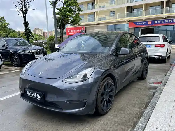 Tesla Model Y 2021