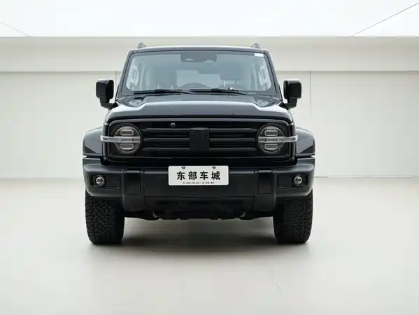 Tank 300 2024