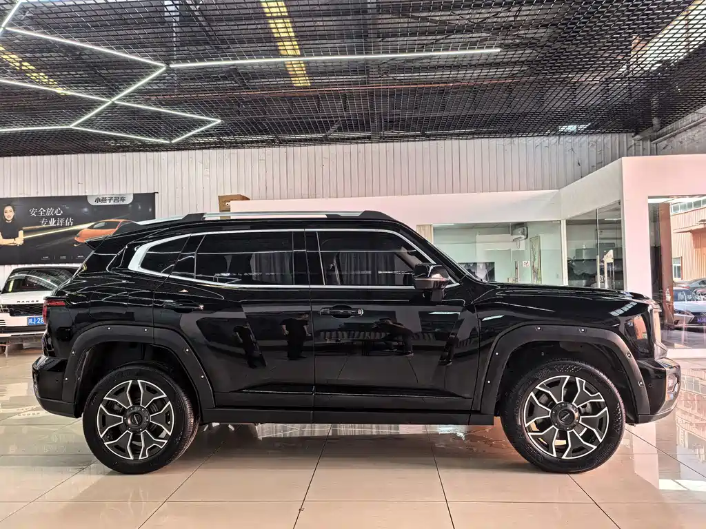 Haval Big Dog PLUS New Energy 2024 — фото 4