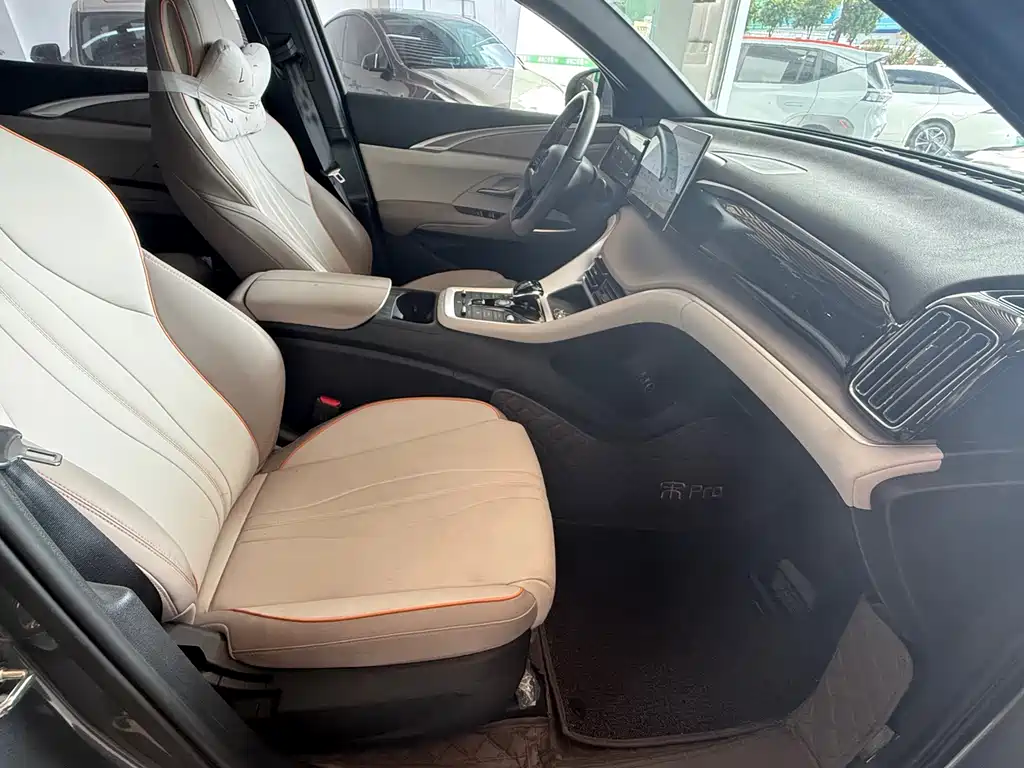 BYD Song Pro New Energy 2023 — фото 11