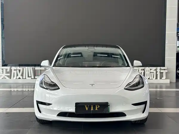 Tesla Model 3 2020