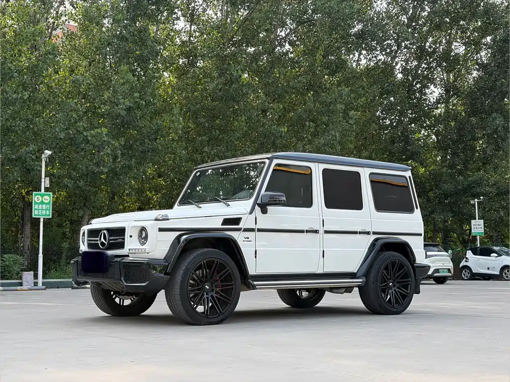 Mercedes-Benz G-Class AMG 2016 — фото 15