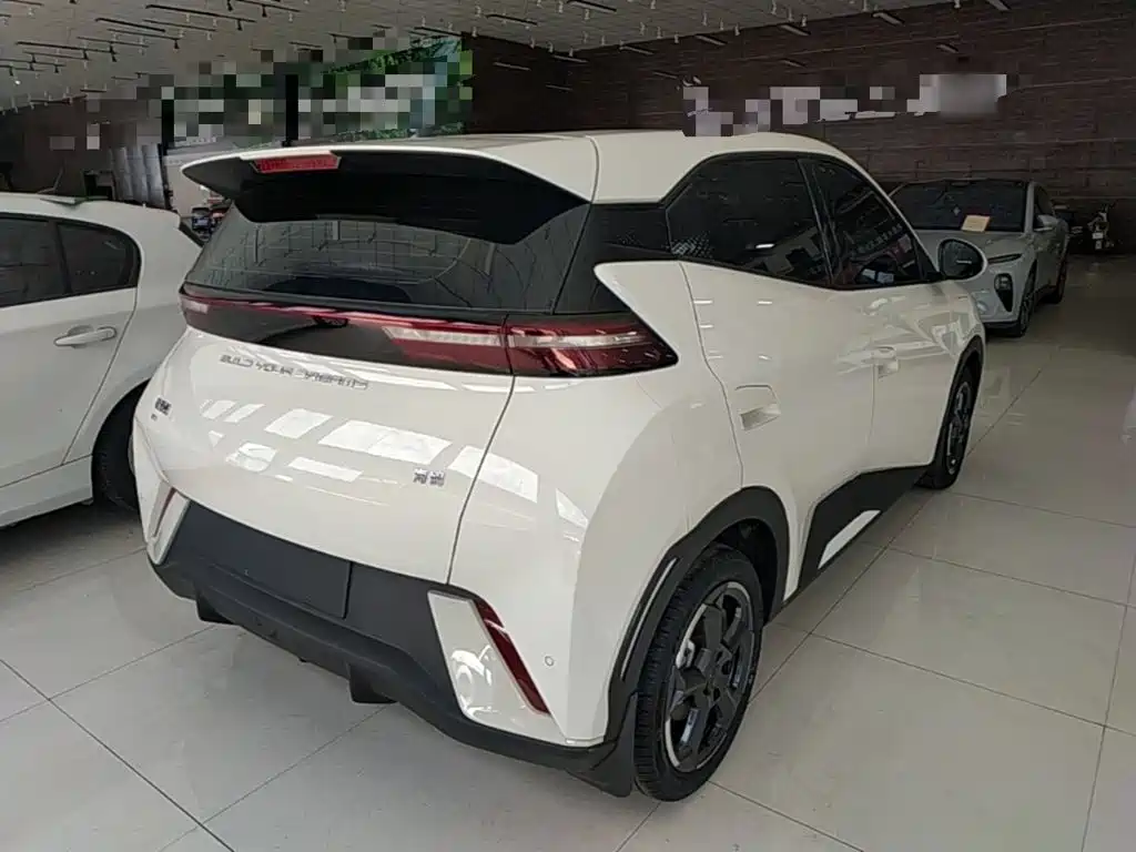 BYD Seagull 2024
